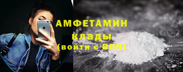 амф Бородино