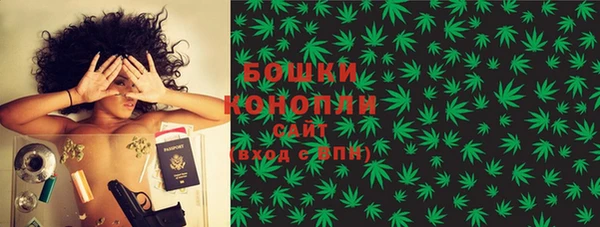 амф Бородино
