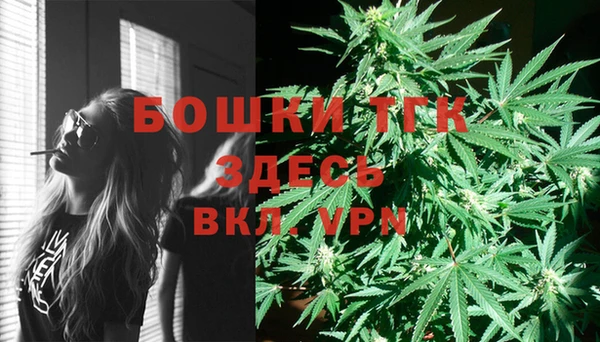 амф Бородино