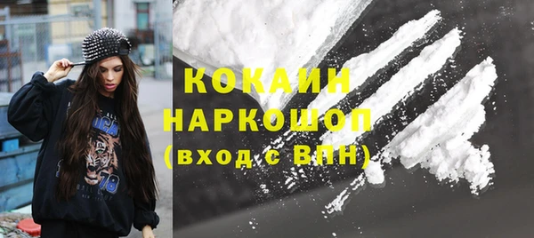 амф Бородино