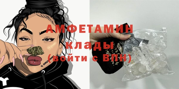 амф Бородино