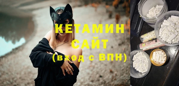 амф Бородино