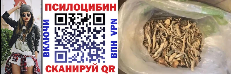 Купить закладки  Ессентуки  Галлюциногенные грибы мицелий 